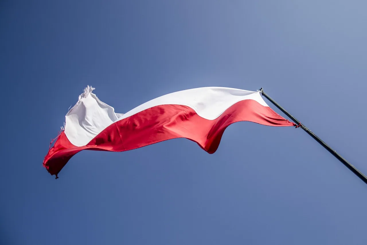 Zdjęcie do artykułu Sprawdzanie firmy w KRS i CEIDG przed podpisaniem umowy